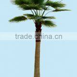 Home Garden Edging Decorative 5ft to 16ft Height Outdoor Artificial Green Plastic Palm Trees EDS06 0826 thumbnail-4