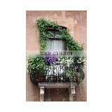 Iron Flower Window Box (LMW_12P13)