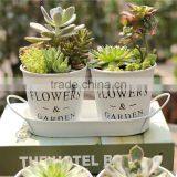 Small Metal Flower Pot, Garden Metal Pot Set With Tray for Garden/home thumbnail-3