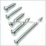 Din7981 Pan Head Self Tapping Screw Tapping Made in China thumbnail-4
