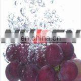Plastic Poster Frame Edging Bulk Poster Printing Poster thumbnail-3