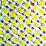 Water-soluble Interlining Shirt Interlining Woven