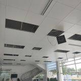 AA1050 Engraved Perforated Ceiling Sheets For Building Ceiling Decoration thumbnail-3