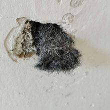 Rodent Control Steel Wool Fill Fabric DIY Kit thumbnail-5