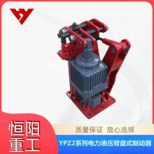 Hengyang Heavy Industry Electric Hydraulic Arm Disk Brake YPZ2 | -500/80 Closing Limit Travel Switch thumbnail-5