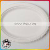 Biodegradable Bagasse Oval Plate