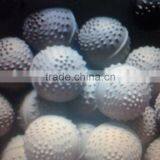 Wash Balls thumbnail-2