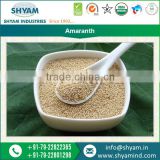 Organically Grown Amaranth Seed from Wholesale Dealer