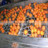 High Quality CGRF24248 Filling Machine/line/equipment for Fruit Juice thumbnail-3