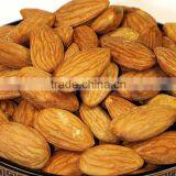 Bitter Almonds/ Almond Nut/ Almonds Kernel From China thumbnail-1