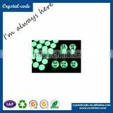 Glow in the Dark Custom Circle Fluorescence Label Sticker