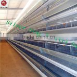 Automatic Livestock Equipment H Type Layer Chicken Cage For Poultry Farm