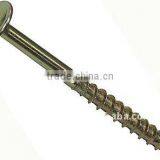 Cabinet Screw thumbnail-1