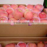 Fresh Fuji Apple thumbnail-1