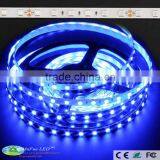 Epistar Chip 24v Non-waterproof Blue 5050 LED Strip Light by Mufue thumbnail-1