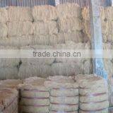 Coconut Fiber 2016 _ QQ : 2598494113 thumbnail-5