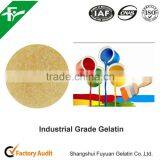 2016 Hot Selling Industrial Gelatin thumbnail-4