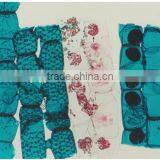 Indonesia Biological Microbiology Prepared Slides