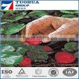 Tomato Support Net,Cucumber Climbing Support Net made in China