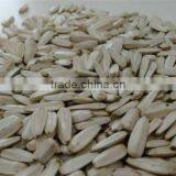 2016 New Crop White Sunflower Seeds