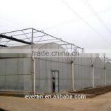 Lost cost!! Muti-Span Plastic Film Agricultual Greenhouse