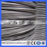 Low Price 0.3mm-4.0mm Hot Dipped Galvanized Binding Iron Wire/Galvanized Wire for Construction(Guangzhou Factory)