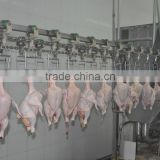 bird butcher plant for broilers
