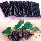 BK Trough Hydroponics thumbnail-3