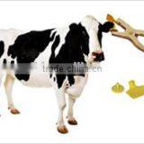 RFID Ear Tag for Animal Traceability (Top Quality, Top Service) thumbnail-4