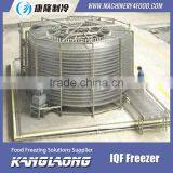 2000Kg/H Spiral IQF Freezer 1000 Made In China