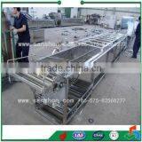Vegetable UPT Sterilizing Equipment/Blanching Machine thumbnail-4