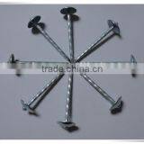 2 Inch Umbrella Head Roofing Nail Twisted Shank Roofing Nail With Factory Price thumbnail-2
