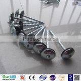 Best Quanlity 2.5 Inch and 3 Inch Roofing Nails thumbnail-4