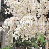 Atificial White Cherry Blossom Flower Tree for Wedding Decoration Fiberglass Trunk thumbnail-3