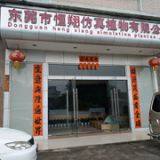 Dongguan Hengxiang Artificial Plant Co.,Ltd company overview - view 1 thumbnail