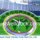 Flower Clocks and Movemet thumbnail-1