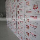 Low Sugar Instant Dry Yeast 90g With BV Certification thumbnail-4