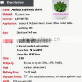 Varied Artificial Succulents Wholesale Artificial Mini Succulents Potted thumbnail-2