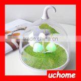 UCHOME Mushroom LED Night Light Change Color Table Lamp 3 LED Rechargeable Light With USB Line Bedroom Creative Baby Light thumbnail-5