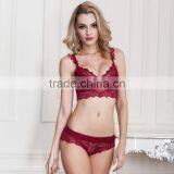 3/4 Cup Nylon & Lace Bra and Panties Set, Different Size & Hollow & Breathable, Floral, More Colors, Sol thumbnail-1