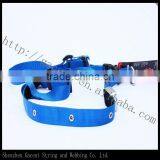 Led Flashing Dog Collar and Dog Trainer thumbnail-1