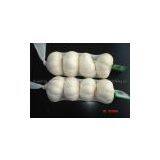 Garlic,fresh Garlic,chinese Garlic,dehydrated Garlic thumbnail-3