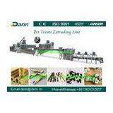 Automatic Twist Treats Dental Care Pet Dog Food Manufacturing Equipment