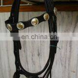 Western Bridle Horse Racing thumbnail-1