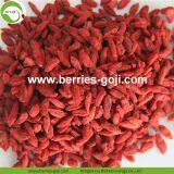 Factory Wholesale Dried Goji thumbnail-1