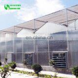 Multispan Tunnel Polycarbonate Panel Greenhouse for Agriculture thumbnail-3