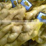 Net Bag Package Ginger Mesh Bag Packing Machine Self-automatic Net Bag Packing Machine thumbnail-3