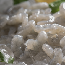 2021 New Product Fresh Whiteshrimp Prawns Natural Frozen Vannamei Shrimp thumbnail-3
