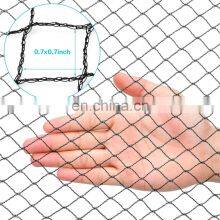Polyethylene Mesh Anti Bird Netting for Agriculture and Garden Bird Netting thumbnail-5