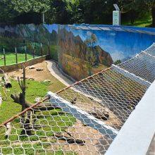 Supply Strong and Strong Parrot Fence, Zoo Parrot Fence thumbnail-2